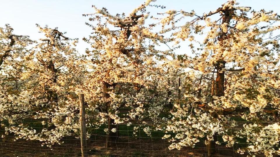 Vakantiewoning Henisdael Heers Eksteriør billede