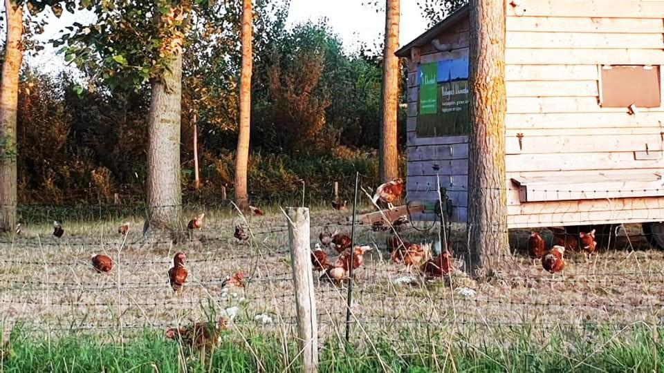 Vakantiewoning Henisdael Heers Eksteriør billede